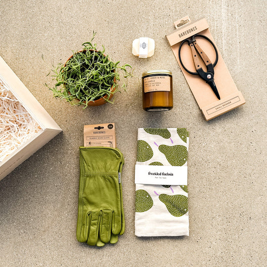 Curated Gift Boxes | Custom Botanical Gifts | Paloverde Botanicals