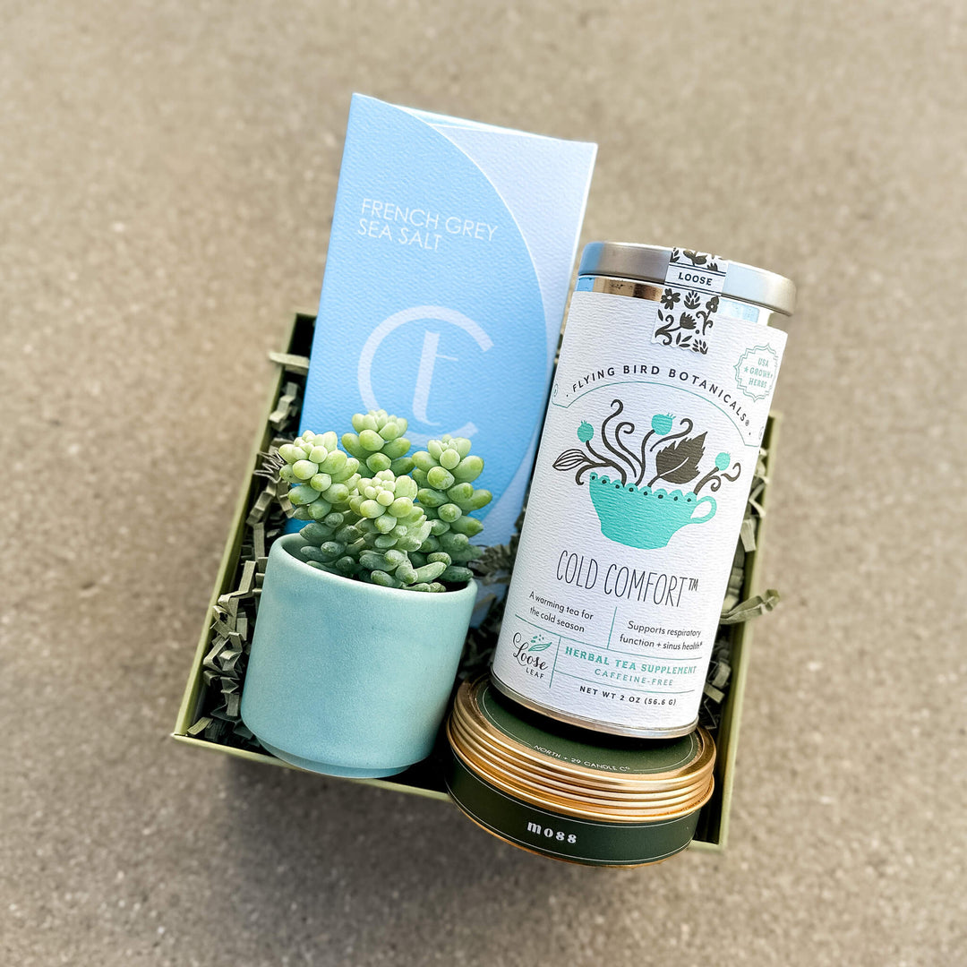 Gift boxes for plant lovers with plant planter tea chocolate