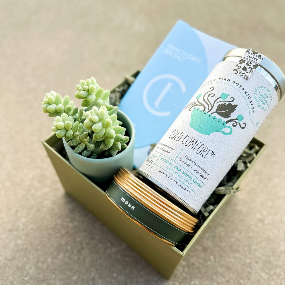 Botanical gift box with live succulent plant