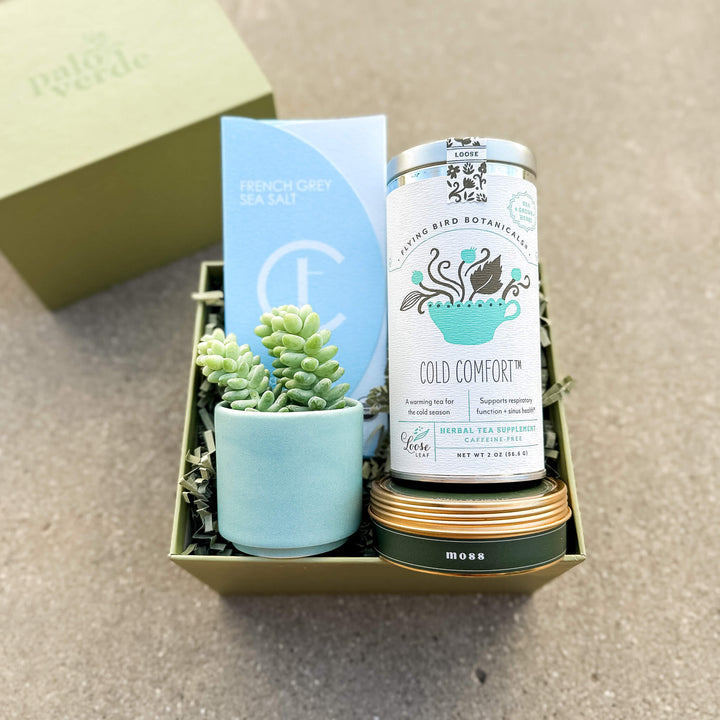 Thinking of you gift box filled with succulent plant and blue gifts
