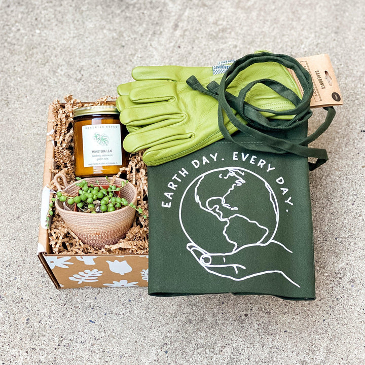 Curated gift box for plant lovers with succulent