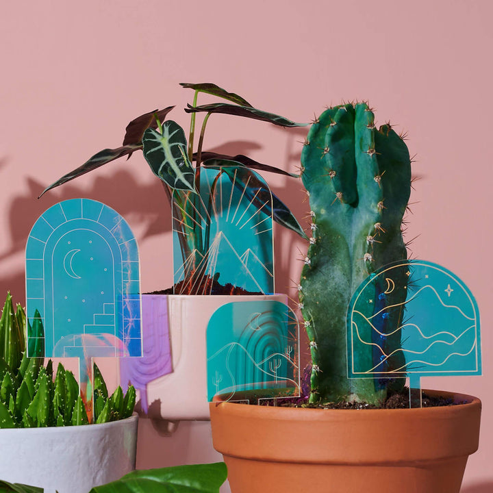 Plantscapes - Set of 4 - Decorative Plant Stakes Mirror Acrylic - Paloverde - unique gift for plant lovers