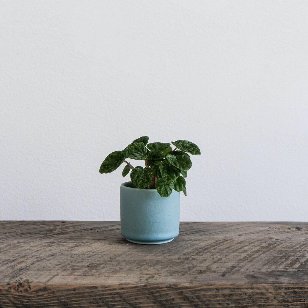 Ceramic Mini Planter - Siren Blue - Tandem Ceramics - unique gift for plant lovers